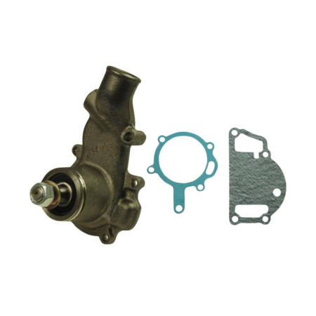 ® Bomba De Agua para tractor Landini, Massey Ferguson | Agriquipo