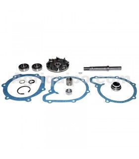 Juego De Reparación Bomba De Agua Para Cosechadora Massey Ferguson