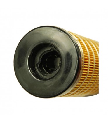 Filtro De Combustible Para Tractor Claas/Renault, Landini, Manitou, Massey Ferguson, Mc Cormick, Merlo, New Holland