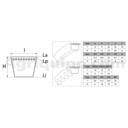 Correa trapezoidal dentada | Claas 2