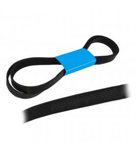 Correa Acanalada 6 Pk X 2555 Para Tractor Ford, New Holland