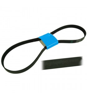 Correa Acanalada 8 Pk X 1700 Para Tractor New Holland, Case-Ih, Fendt