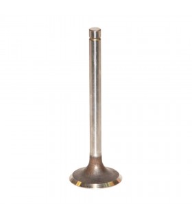 Válvula De Admisión Ø 44.20 X 10.00 Mm - L 129.40 Mm - 45 ° Para Tractor John Deere, Zetor