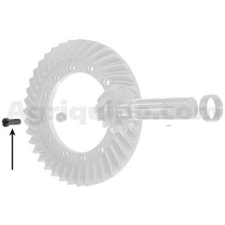 Tornillo | Massey Ferguson 2