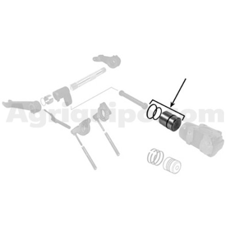 Conjunto de aro del pistón | Massey Ferguson 2