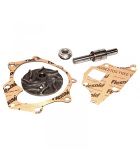 Kit Juego De Reparación De Bomba De Agua Para Tractor, Ford