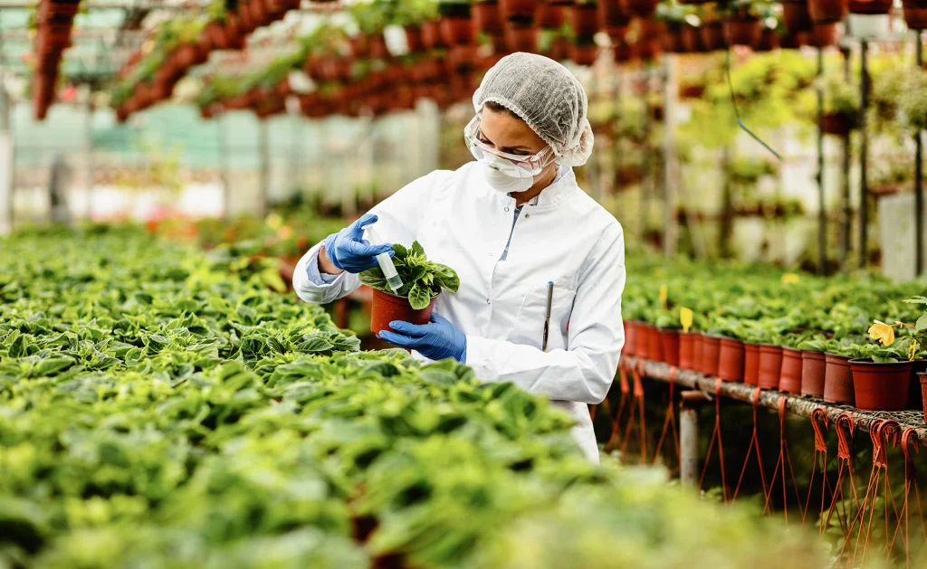 biotecnología en la agricultura