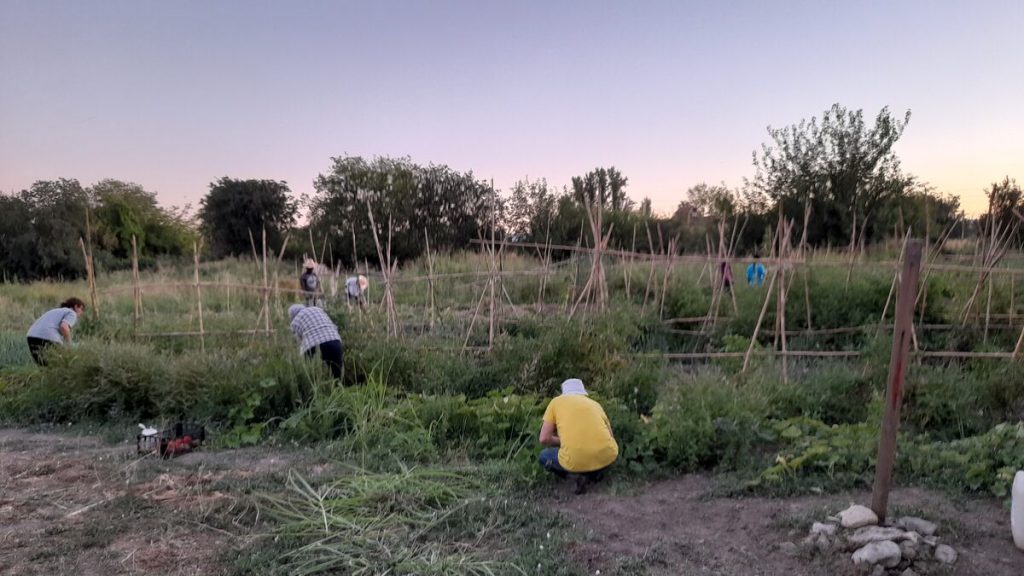 qué es la agricultura alternativa