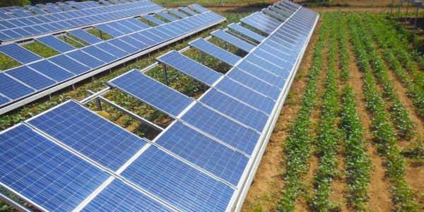 Energía solar en la agricultura