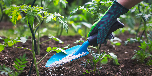 Fertilizantes: Guía completa sobre fertilizantes en la agricultura