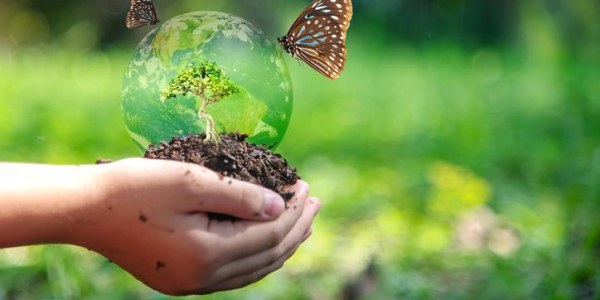 La Importancia de la Biodiversidad en la Agricultura