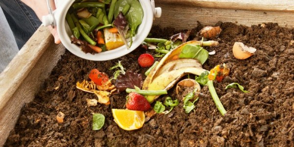 Compostaje: ¿Qué es y sus beneficios para tu jardín o huerto?