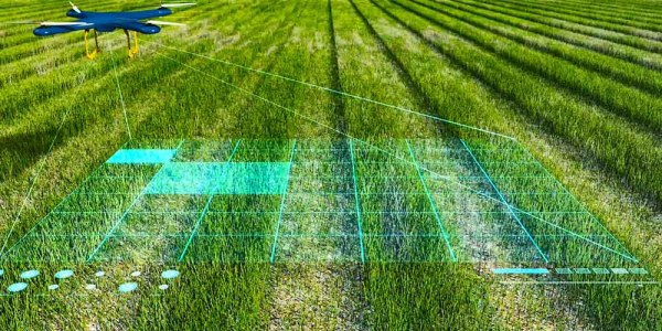 La inteligencia artificial en la agricultura