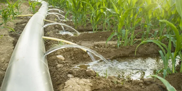 ¿Cuántos tipos de riego hay?
