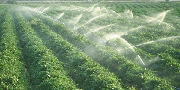 El riego por aspersión en la agricultura