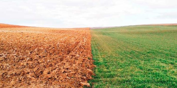 El color del suelo agrícola