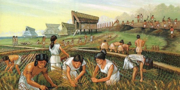 ¿Cómo surgió la agricultura?