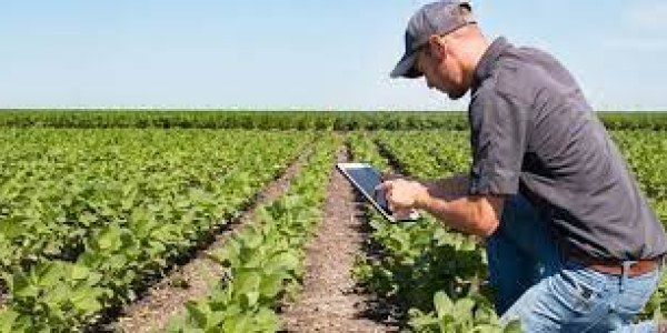 Cuaderno de campo agrícola