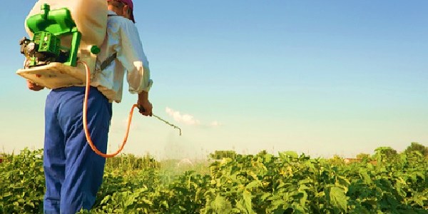 Bioplaguicidas: Una alternativa sostenible para el control de plagas