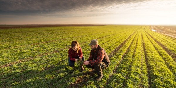 La agricultura alternativa:¿Qué es y para qué sirve?