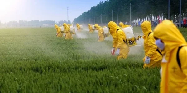 Biocidas: Todo lo que necesitas saber para una protección eficaz