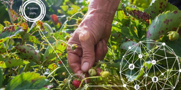 Biotecnología agrícola: Innovación y avances en la agricultura española