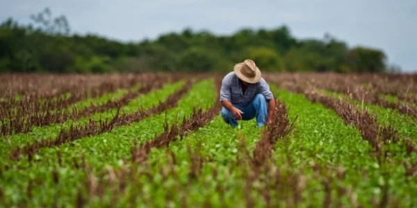 Agricultura Extensiva: Un enfoque sostenible